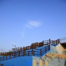 나주홍어 이미지