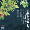 양림미술관 이미지