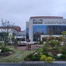 텔 아비브 챔버 앙상블 내한공연 | 오산문화예술회관 텔 아비브 쳄버 앙상블 초청공연 후기