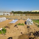 단수농장 이미지