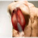 피네테스 이미지