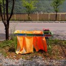 청송오토캠핑장 이미지