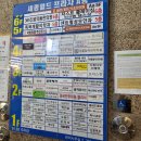 디오프라자 | 해운대 장산역미용실 추천 디오룸헤어 애쉬브라운 염색후기