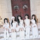 나인 티브이데일리