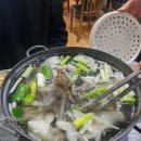 뽑기동산 | 대구 여행｜대구 맛집 회도라해물포차, 모토이시, 독도포차, 상하이 마라꼬치 내돈내산 후기