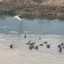 참좋은인연 이미지