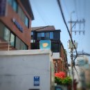 라벤더 | 대학로 혜화 감성 카페 써카1950 편안하고 조용한 아지트 느낌 대화하기 좋은 빈티지 식물 카페 후기