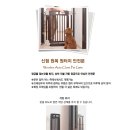 키티도기