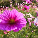 주남마을길 이미지