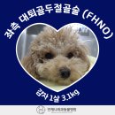 언제나동물병원 이미지