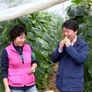 오이씨농장1 이미지