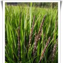 쇠똥구리마을 이미지