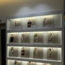 동진주메디컬 | [대구수성구24시동물병원] 본동물메니컬센터24시 슬개골 검사 찐 후기