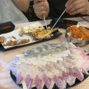 당일도매횟집 | 부산 장산 회 맛집 당일도매횟집 내돈내산 후기! 🤍
