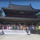 세종특별자치시지체장애인협회 이미지