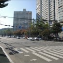 사파동100 이미지