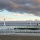 이박사생고기 이미지