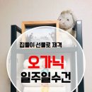 매디앤스티치