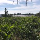 신흥1리마을회관 이미지