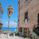 트로페아2 이미지