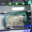 뉴로동물암센터 이미지