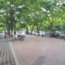 코오롱애견 이미지