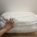 너무 마음에 드는 이불커버 내돈내산 후기; GBH 지비에이치 이불커버, 키티버니포니 이불