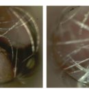 동그라미 동물의료센터 이미지