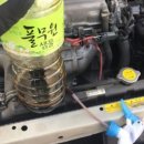 영진카프라자 이미지