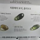 올리브 | 공복 올리브오일 챙기는 법! 올록담 올리브 캡슐 후기