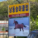 인천남동승마클럽 이미지