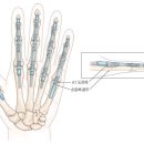 양정수지 이미지