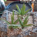 나도 쌤 강사양성과정 이미지