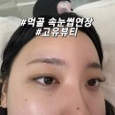 먹골역1번출구 | [중랑] 먹골역 속눈썹 펌,먹골역 속눈썹연장 고유뷰티 후기