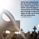Verse of the day and prayer_260421 이미지