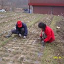 진형농장 이미지