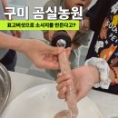 11545-02-05-47 | 구미 이색 체험 아이와 가볼만한곳 표고버섯 소시지 만들기 체험 후기