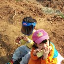 나를 키우는 그림책 육아 이미지