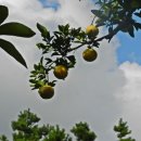 성동노인종합복지관 이미지