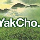 인포디자인(INFO) Daum카페