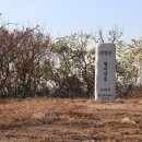 레포로 Daum카페
