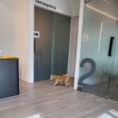 이산동물의료센터 이미지