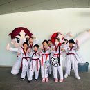 경희대 석사 백호태권도장 이미지