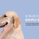 충북대학교 동물병원 이미지