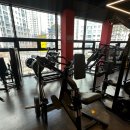 일프로짐 이미지