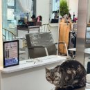 두리비어 | 용인처인구 미용실 바비드헤어 매직셋팅 긴머리 후기