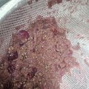 원장님표 수제 포도쨈🍇 이미지