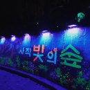 사직공원 사직탑 | 광주산책로추천 아이와 산책하기 제일 좋은 양림동 사직공원 저녁에 다녀온 후기