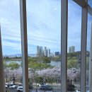 (주)호텔하나 | 벚꽃이 한창인 4월 첫째주 수성호텔 피오니홀 후기(대구 결혼식사회자)