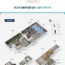 쌍용(아) 이미지